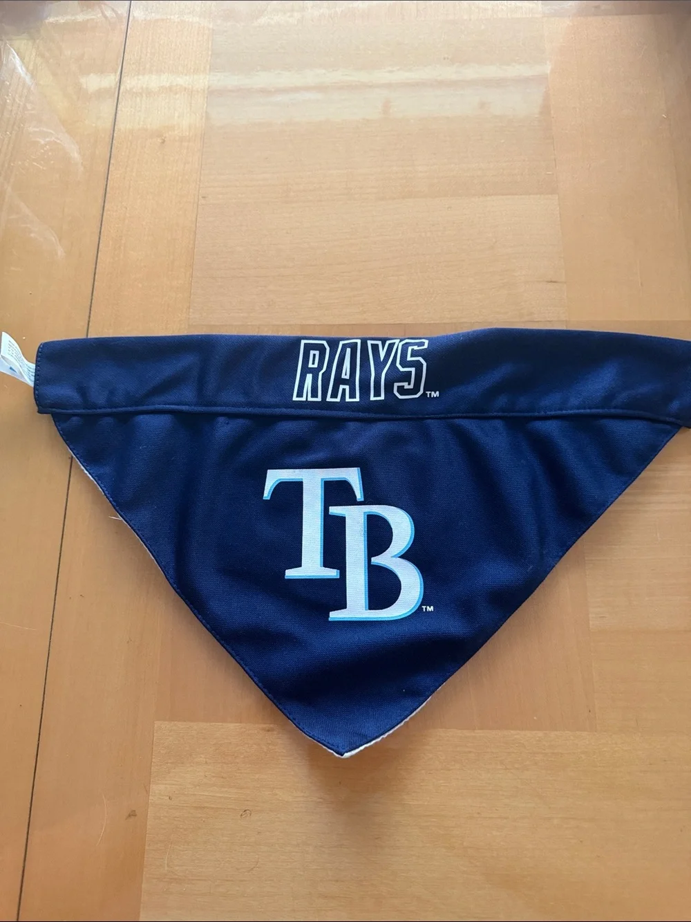 Tampa Bay Rays dog bandanna